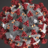 COVID19 Maladie due au nouveau coronavirus SARS-­CoV-­2