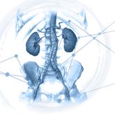 Webinar Aorte Abdominale 1er Mars